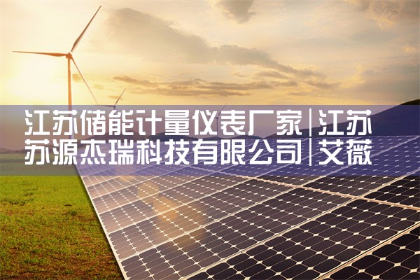 江苏储能计量仪表厂家|艾薇特