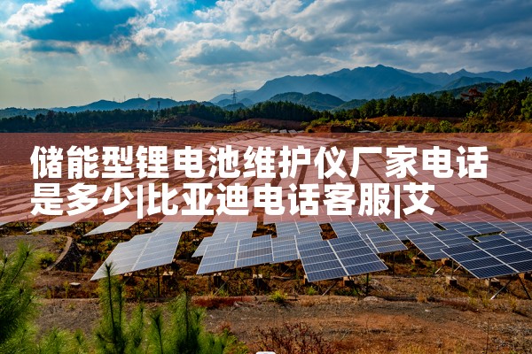 放心的储能锂电池厂家