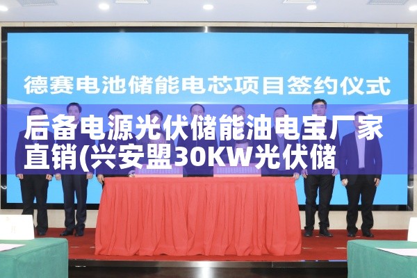 汕头储能集装箱定制安装厂家|艾薇特