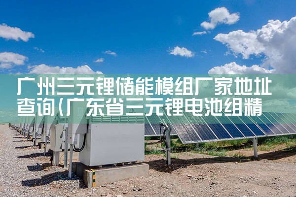 广州三元锂储能模组厂家地址查询|艾薇特