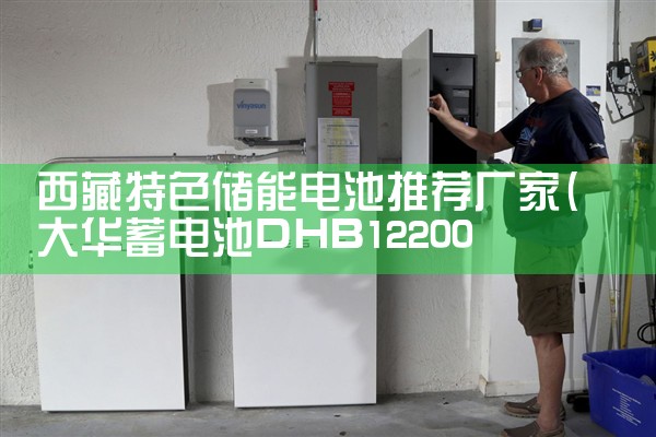 西藏特色储能电池推荐厂家|储能工厂