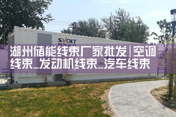湖州储能线束厂家批发|艾薇特