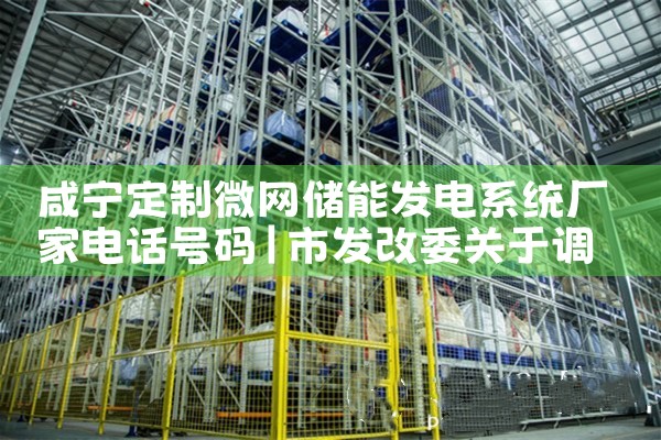 咸宁定制微网储能发电系统厂家电话号码|艾薇特