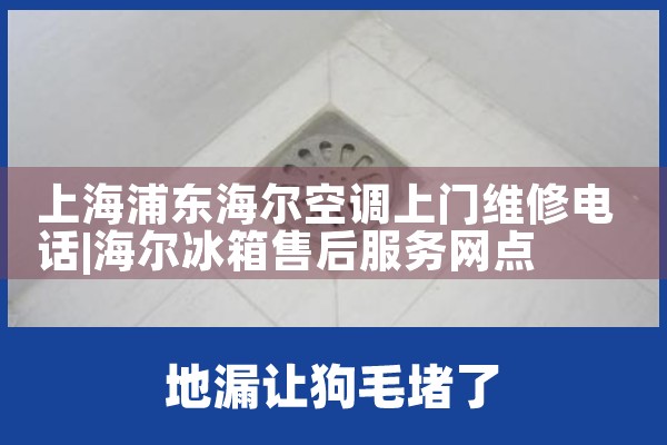 上海浦东海尔空调上门维修电话|同城上门服务